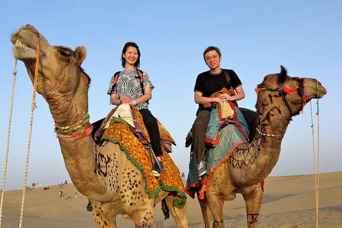 Adventure non touristic camel safari - Key Highlights You Should Know