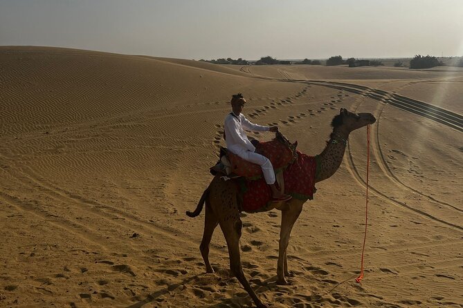Adventure non touristic camel safari - Dinner Under the Stars: Food, Campfire Mood, and Quiet Time