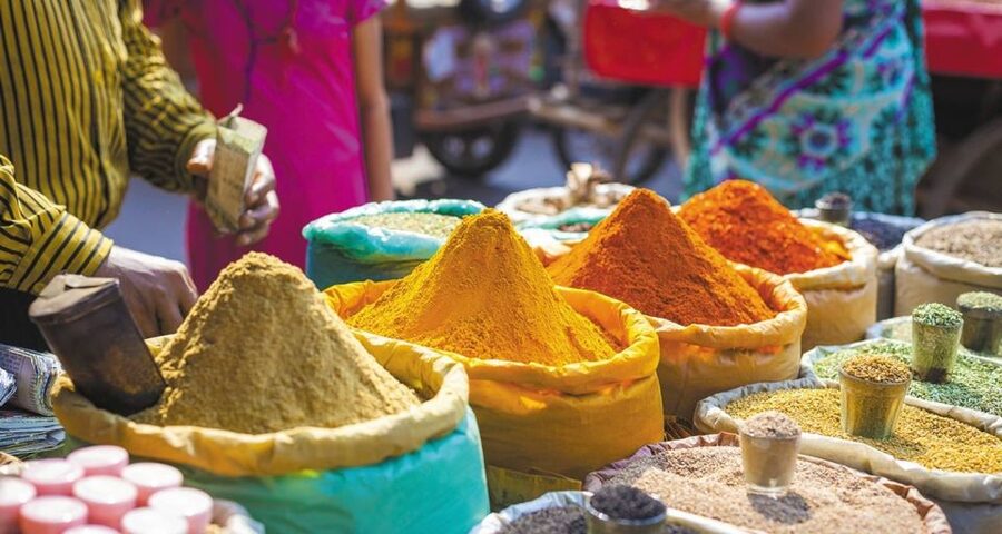 Agra: Indian Food Private Cooking Class - Price and value: why $27 is more than it sounds