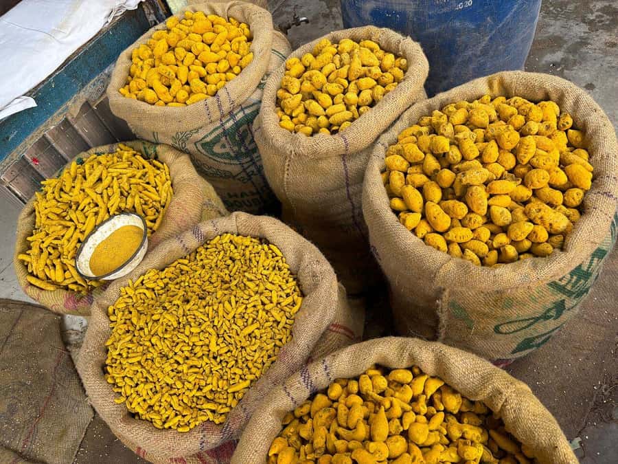 Agra: Street Food Tour with Spice Market on Tuk-Tuk Ride - Samosas, Kachori, and the Lassi Moment