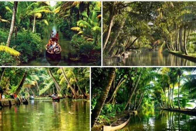 Alasr Lakeview Cruise /Hourly Trips to Backwater of Alleppey - Key highlights to know before you go