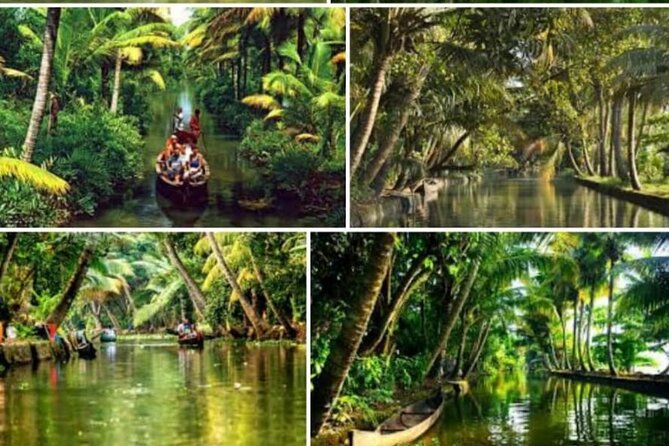 Alasr Lakeview Cruise /Hourly Trips to Backwater of Alleppey - Boarding at Rajiv Boat Jetty and the fast start toward canals