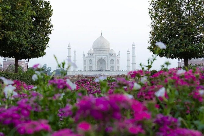 All Inclusive Same Day Taj Mahal and Agra Fort Tour from Delhi - Lunch, Water, and the Comfort Reality of a Long Day