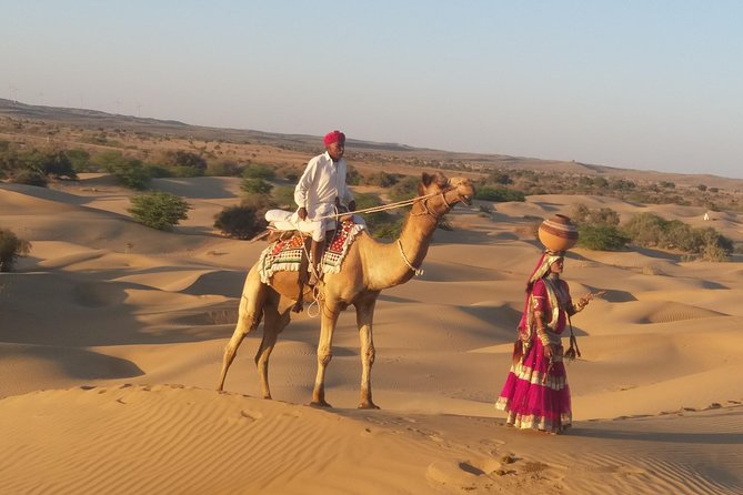 Amazing Overnight experience under the stars in Thar Desert - Camel safari and desert lunch: the part that turns the trip real