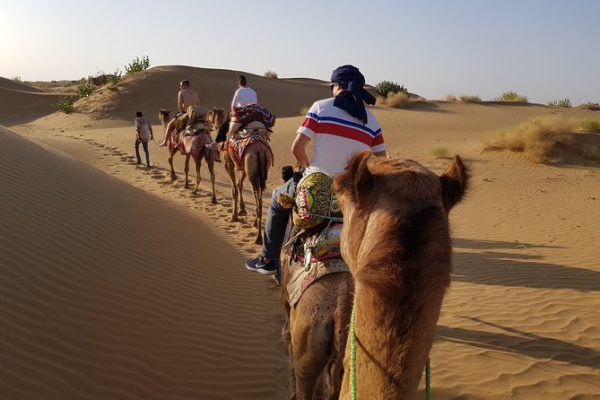 An Overnight Non-touristic Camel Safari (2PM to 11:30 AM Next Day) - Why This Overnight Camel Safari Feels Non-Touristic