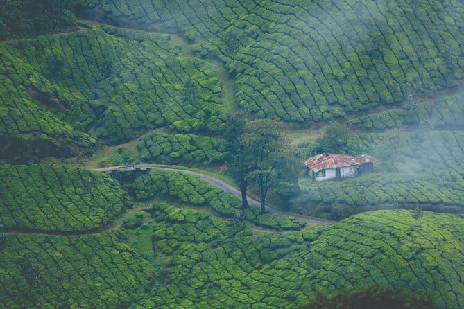 Anakkulam Wild Elephant Visiting(Jeep tour) - Tiger Cave and the Kerala Spice Angle That Breaks Up the Nature Plan