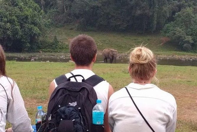 Anakulam Wild Elephant Village life tour ( By Munnar Info) - The day begins with tea at Lekshmi Tea Estate