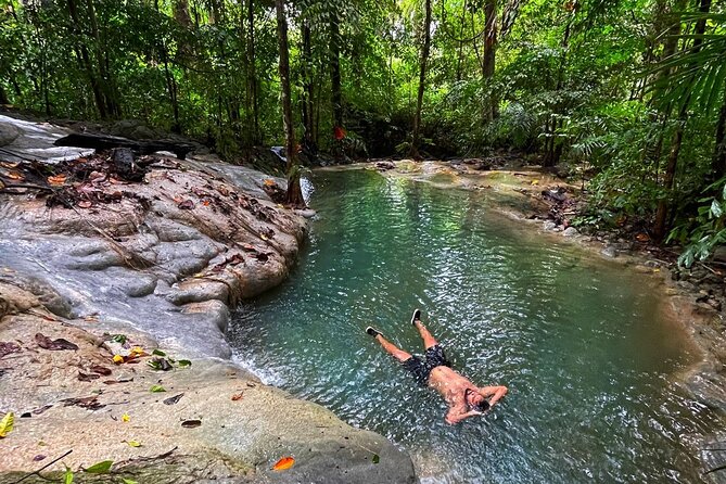 Ancient Lava Stream Trek through dense Tropical forest. - Key Things to Know Before You Hike the Ancient Lava Stream