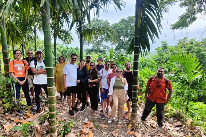 Ancient Lava Stream Trek through dense Tropical forest. - Where This Trek Fits on Havelock Island