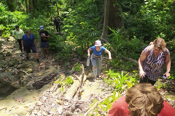 Ancient Lava Stream Trek through dense Tropical forest. - Guide Style and Learning: What You’ll Likely Get From the Group