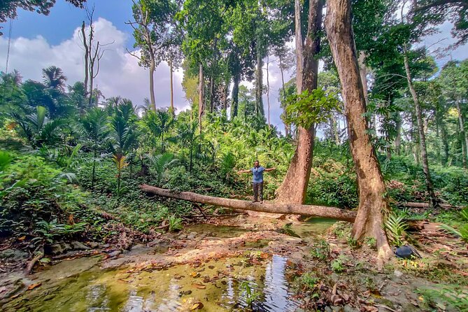 Ancient Lava Stream Trek through dense Tropical forest. - Coastal Forest to Areca Nut Plantation: A Route With Real Purpose