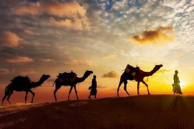 Arabian Night with Cultural Show - Arabian Night in Jaisalmer, the practical way to do it