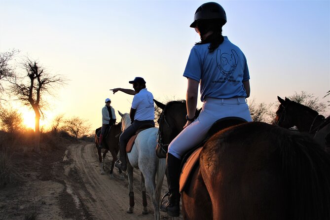 Aravali Trail Experience( Jungle Safari Forest area)- Horseback Riding - Key Highlights Worth Getting Excited About
