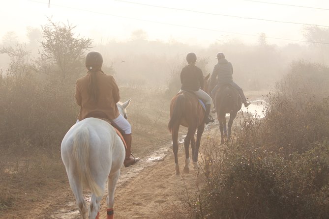 Aravali Trail Experience( Jungle Safari Forest area)- Horseback Riding - Morning Ride In The Aravalli Hills: What Makes It Special