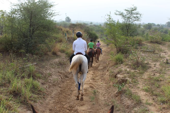 Aravali Trail Experience( Jungle Safari Forest area)- Horseback Riding - Value For $14: What You Get That Other Activities Don’t