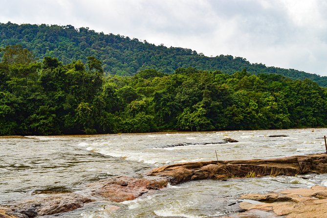 Athirappilly Falls & Cherai Beach Bliss - Day Escape from Kochi - Price and Value: What $43.27 Covers (and What to Watch)