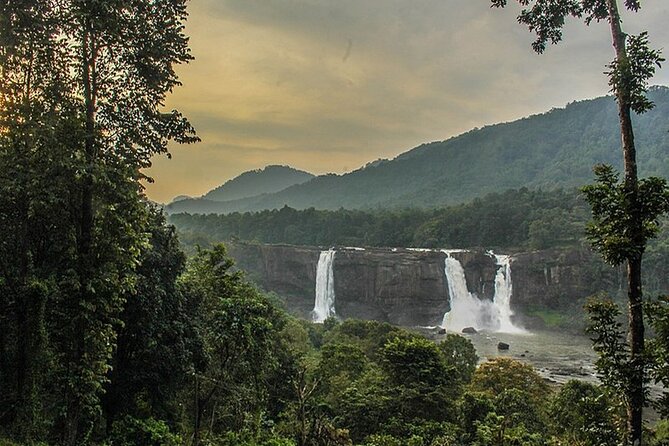 Athirappilly & Vazhachal Waterfalls Private Day Tour from Kochi - Lunch at a 4-star resort: a real reset