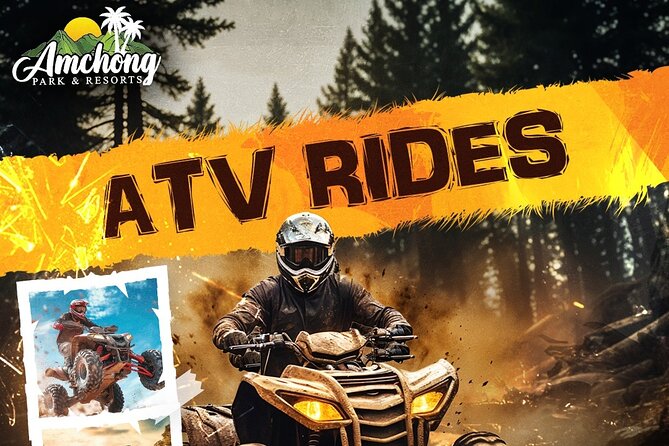 ATV RIDE at Amchong Tea Estate - The 15 minutes that actually feel like the point