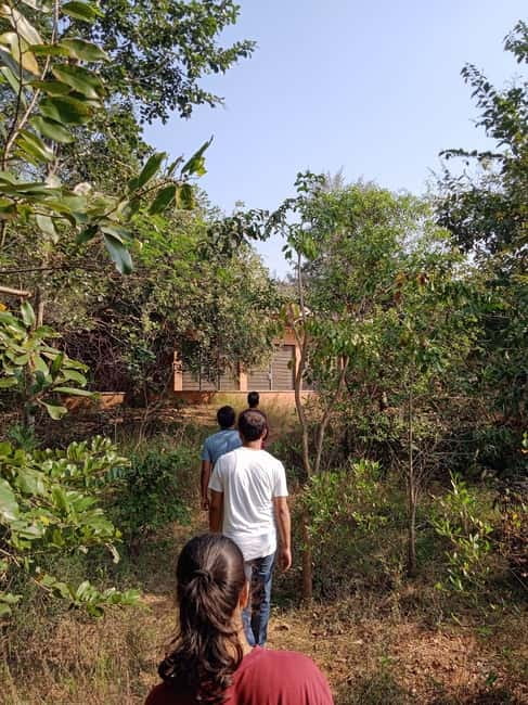 Auroville: Nature Trail Forest Cycling Adventure - Why This 3-Hour Auroville Forest Ride Feels Different