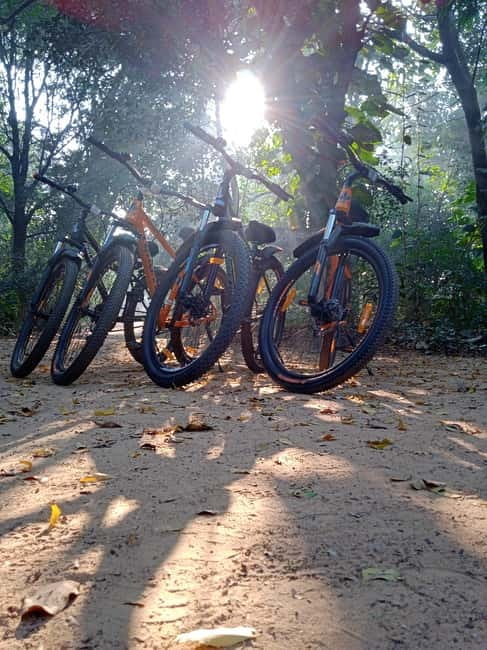 Auroville: Nature Trail Forest Cycling Adventure - Key Things I’d Watch For Before You Book