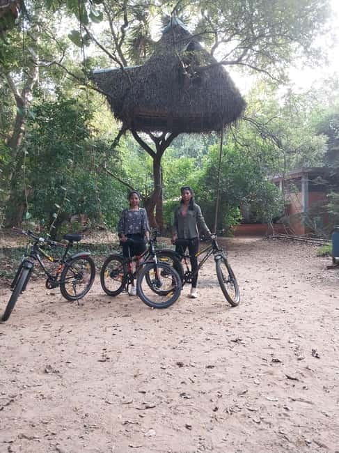 Auroville: Nature Trail Forest Cycling Adventure - Who This Tour Is Best For (And Who Should Skip It)