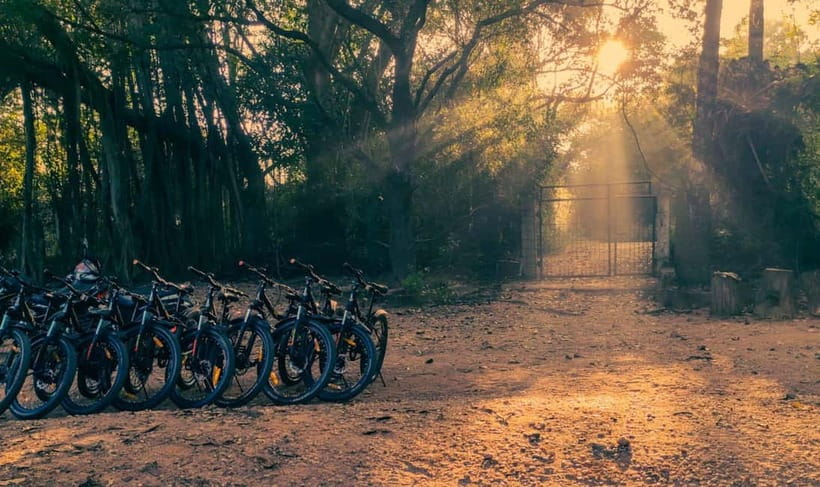 Auroville: Nature Trail Forest Cycling Adventure - Meet at the Blue Shed by KK Greenland, Then Roll Toward Poothurai Road