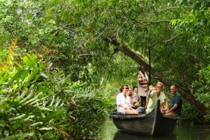 Backwater Tour from Cochin - Non-motorized backwater time from Kochi, with a village focus