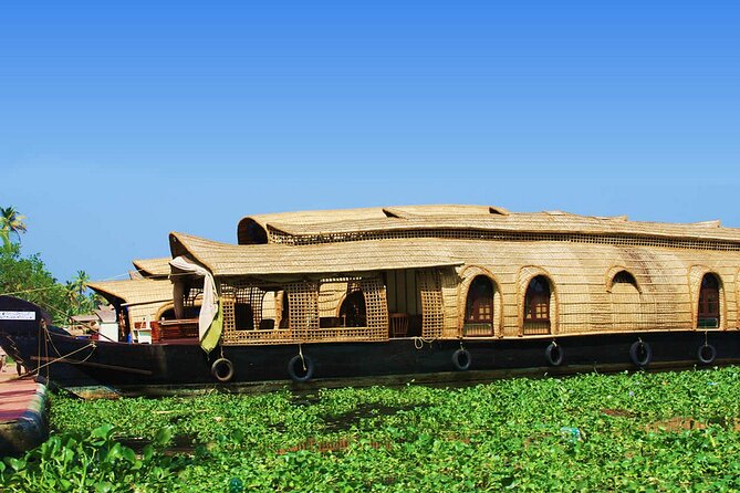 Backwaters Houseboat Cruise in Aleppey with Lunch from Cochin - Private Tour - Choosing standard or deluxe, and what non-AC really means
