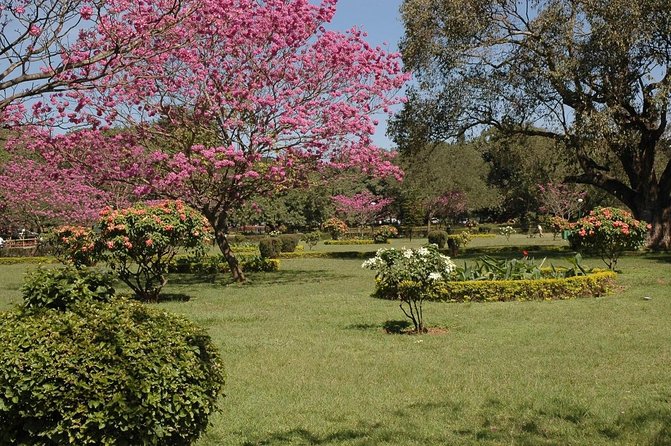 Bangalore Heritage and Cultural Walking Tour - Key Highlights You’ll Actually Feel While Walking