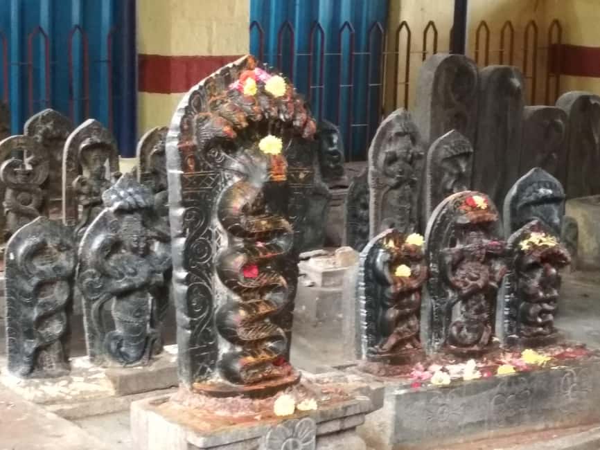 Bangalore: Private Half-Day Sightseeing Tour - Lalbagh Botanical Garden: A Real Break From City Noise