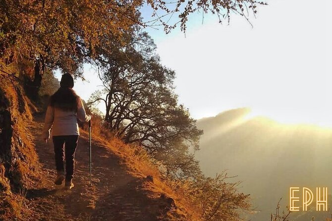 Benog Tibba Day Hike - Mussoorie - The “forest first” trail style, and what that means for your legs