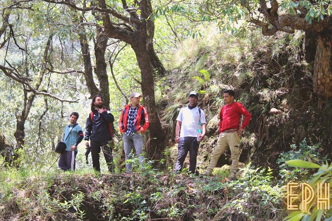 Benog Tibba Day Hike - Mussoorie - Wildlife spotting, what you can expect and what you should not bet on