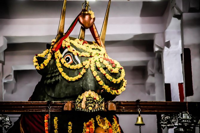 Best of Bangalore Private Tour - KR Market: Fresh Produce, Real Crowds, and a Sensory Reality Check