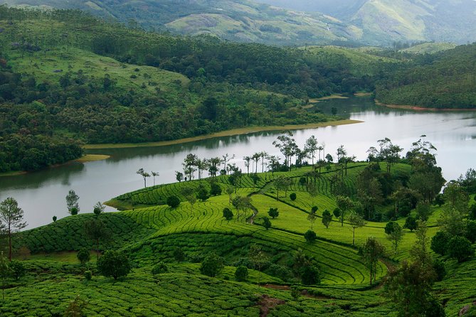 Best of Kerala Tour Package 7 nights / 8 days by Sanguine Holidays - Kochi to Thiruvananthapuram, a route that keeps you moving