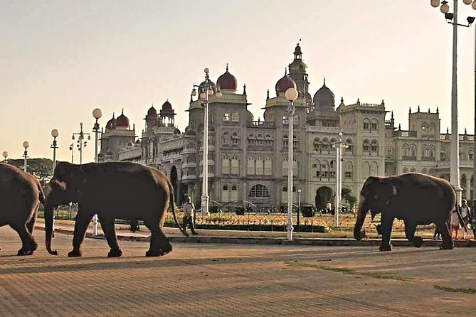 Best of Mysore, UNESCO Somnathpur Temple & Srirangapatna Day Tour - Breakfast at Maddur Tiffanys in Shivapura: food that sets the tone