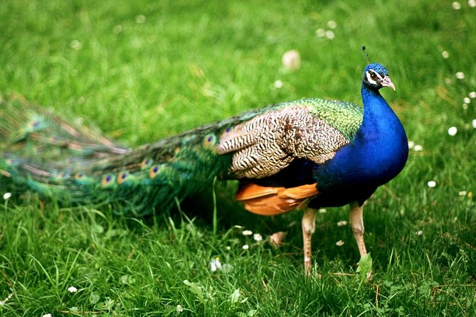 Bharatpur Bird watching & Wildlife from Delhi - From Delhi to Bharatpur, the day starts at 6:30am