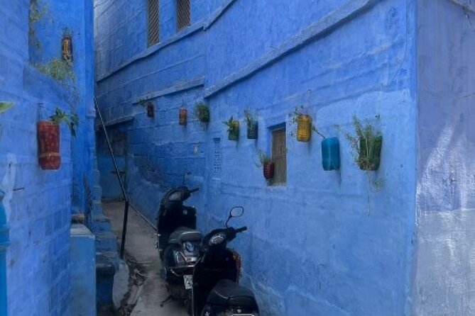 Blue city heritage walk - Meeting at Toorji Ka Jhalra: the stepwell that sets the mood