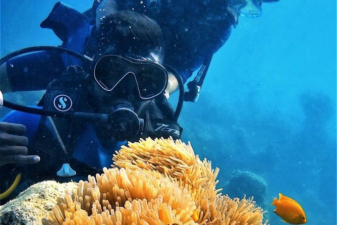 Boat Scuba Diving at Neil Island - Key things I’d bet on