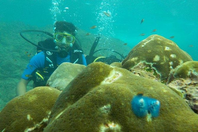 Boat Scuba Diving at Neil Island - Why Neil Island’s boat route beats the shore plan