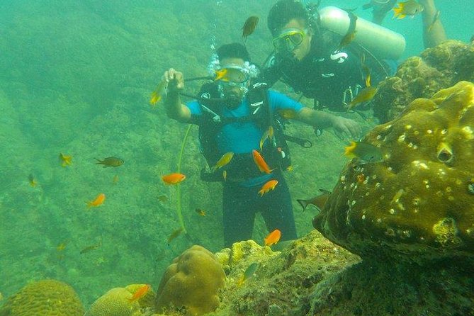 Boat Scuba Diving at Neil Island - First stop: Bharatpur Beach, gear up and learn your underwater signals