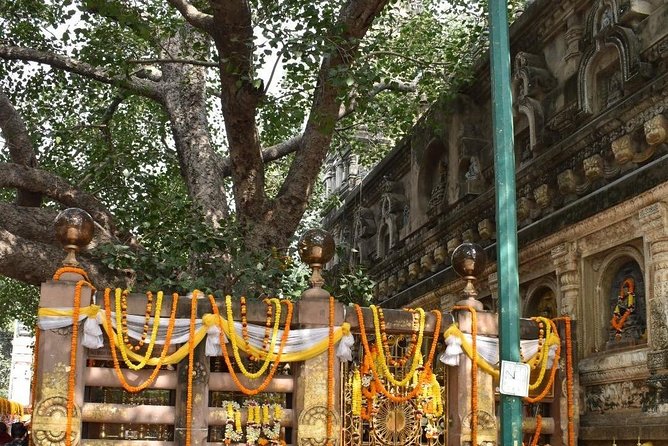 Bodhgaya Day Tour (Hotel Pickup) - Thai Monastery and Royal Bhutan Monastery: architecture you can spot fast