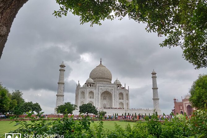Book Govt Approved Guide for Taj Mahal & Agra fort - Should You Book This Taj Mahal and Agra Fort Guided Tour?