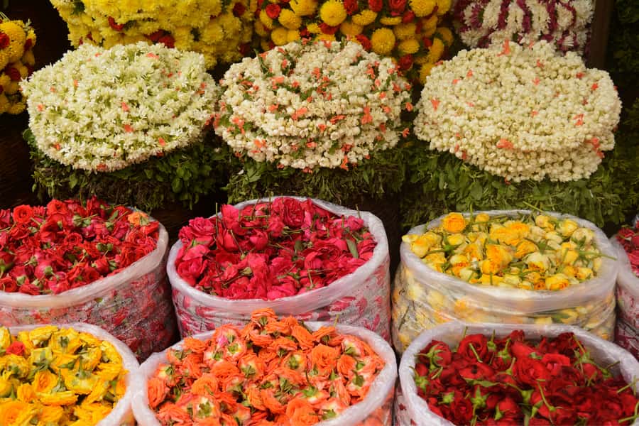 Build Your Own: Customizable Private Tour of Kolkata - Pickup, Private Vehicle, and the Real Meaning of Included Transport