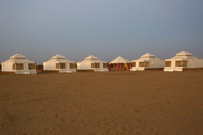 Camel Safari - Price, Time, and What the $25 Buys You