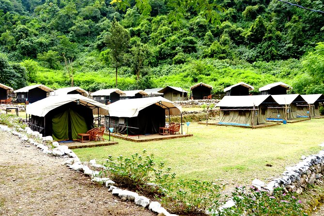 Camping in Rishikesh - 1N 2D - Forest Camping Near Rishikesh: What This 1N 2D Trip Really Means