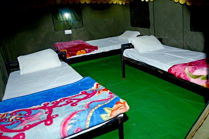 Camping in Rishikesh - 1N 2D - Food Plan Breakdown: Veg Buffets, Non-Veg Dinner, and Tea Rituals