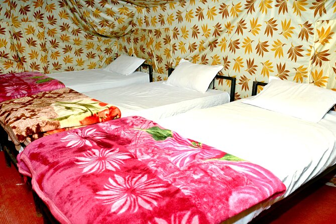 Camping in Rishikesh - 1N 2D - Price and Value: Why $22 Can Make Sense