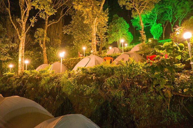 Camping Suriyaneli/Munnar Kerala - Dinner is the kind of fuel you actually want after hiking