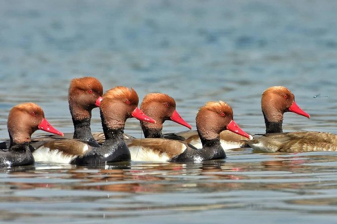 Chambal River Safari - Getting there from Agra: the 130 km road trip reality