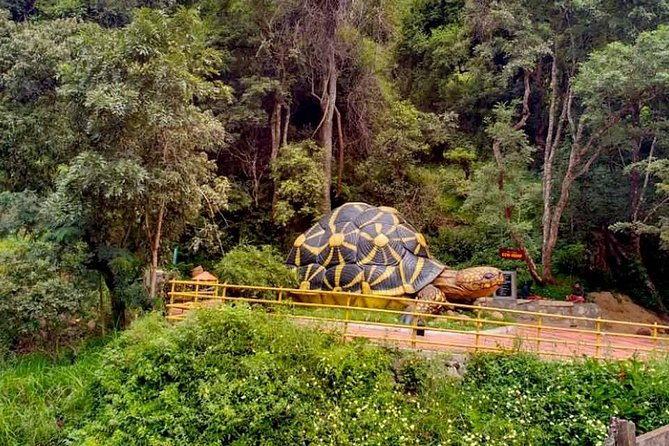 Chinnar wild valley experience day tour ( By Munnar Info) - Lakkam Waterfalls and Thoovanam Falls: short stops that change the feel of the day